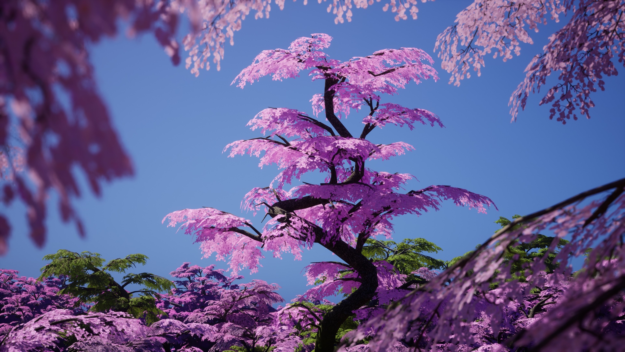 Media 1 for listing Sakura Trees Pack