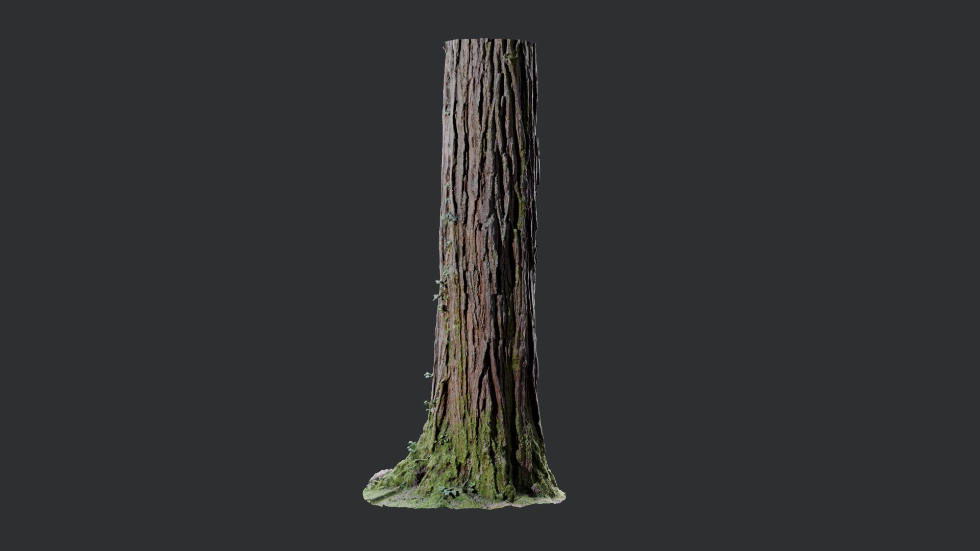 Forest Tree Trunk 3 | Fab