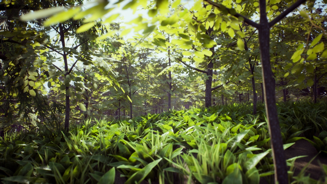 Foliage & Landscape Pack | Fab