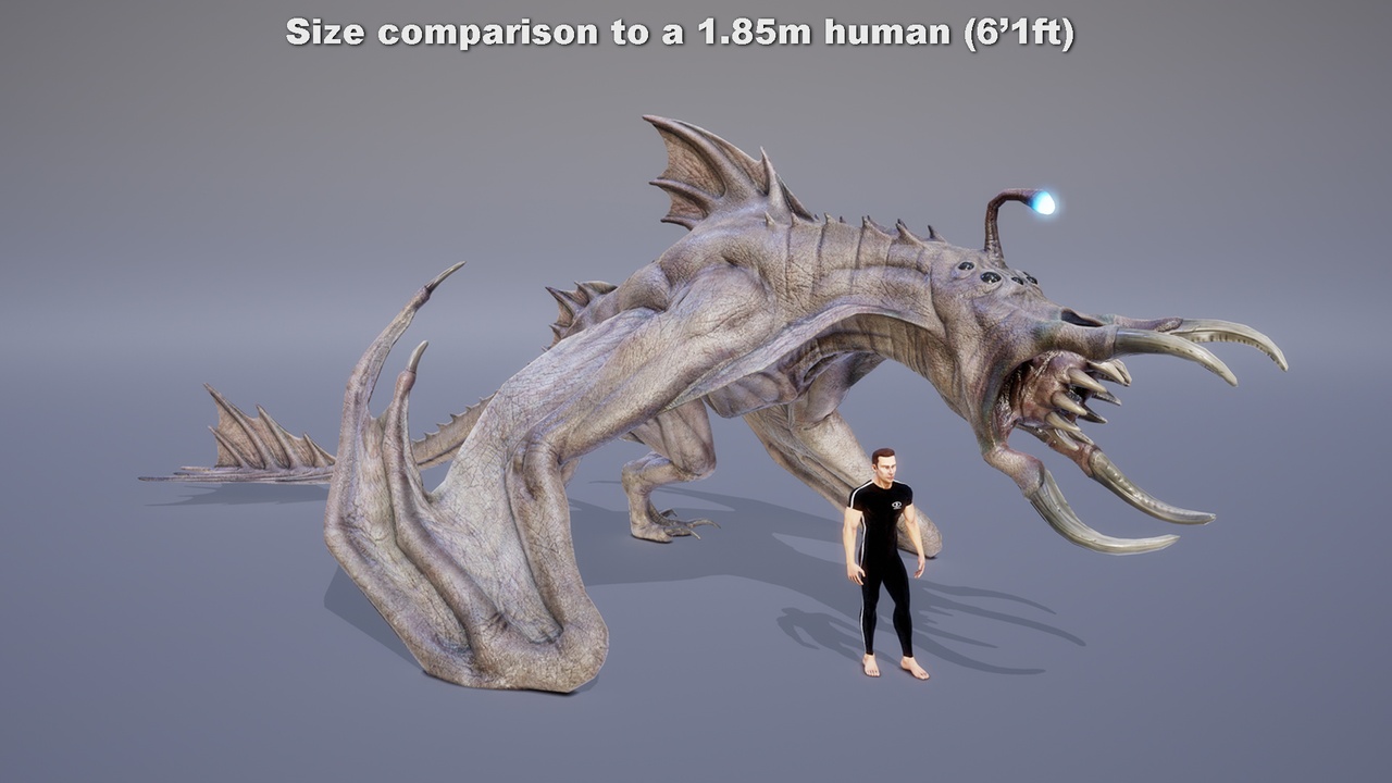 File multimediali per l'articolo MONSTER: TETRUNCIPTERE: 1