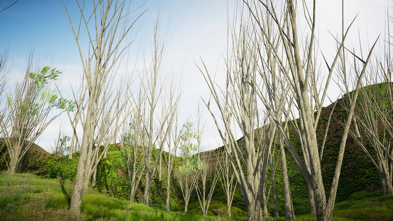 Media 1 for listing Mobile Trees Pack 43