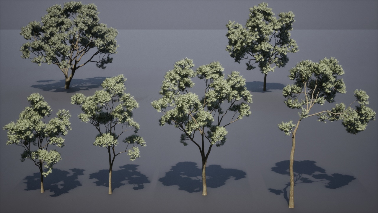 Media 1 for listing High precision landscape trees