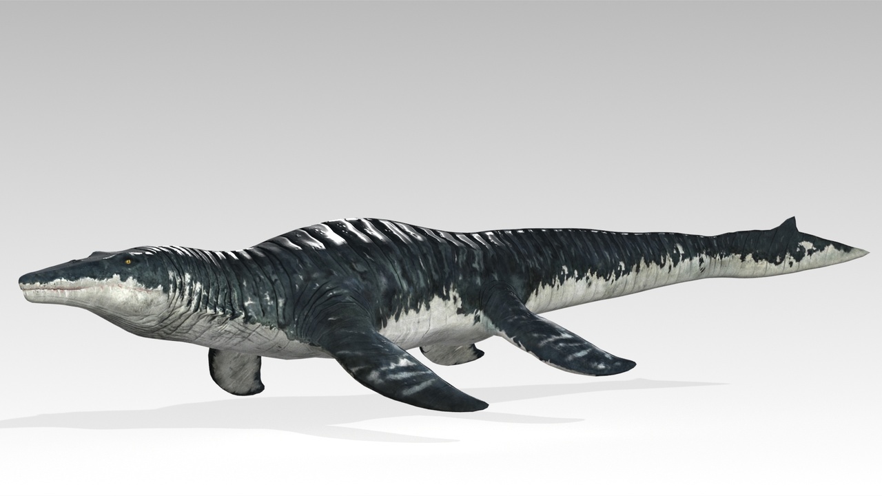 Media 1 for listing Mosasaurus Animated