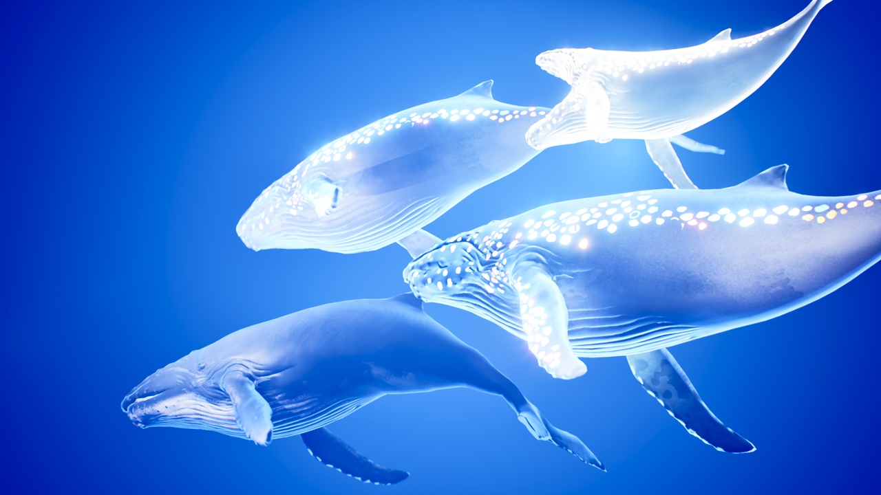 Media 1 for listing Whale Fantasy Pack