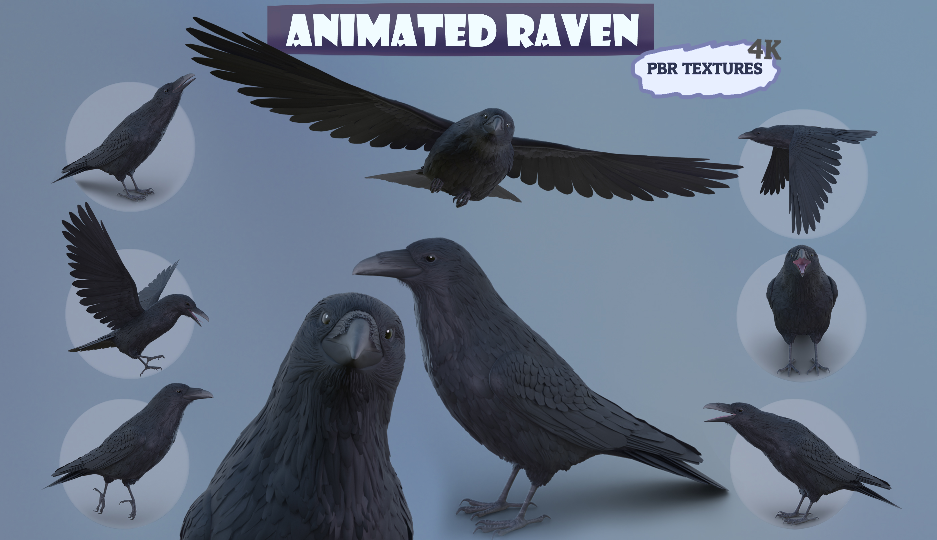 Motion Sensor Raven Realistic Animated Raven | Fab