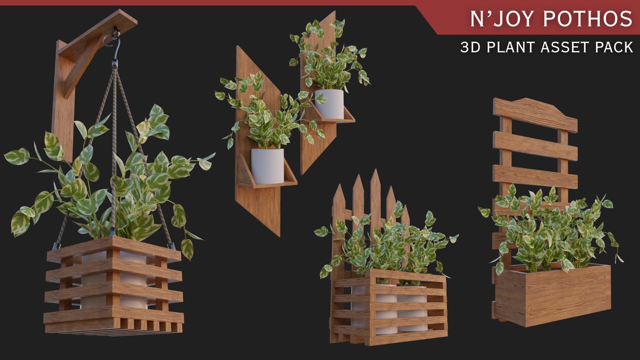 Media 1 for listing Indoor Plants with Pots: N'joy Pothos