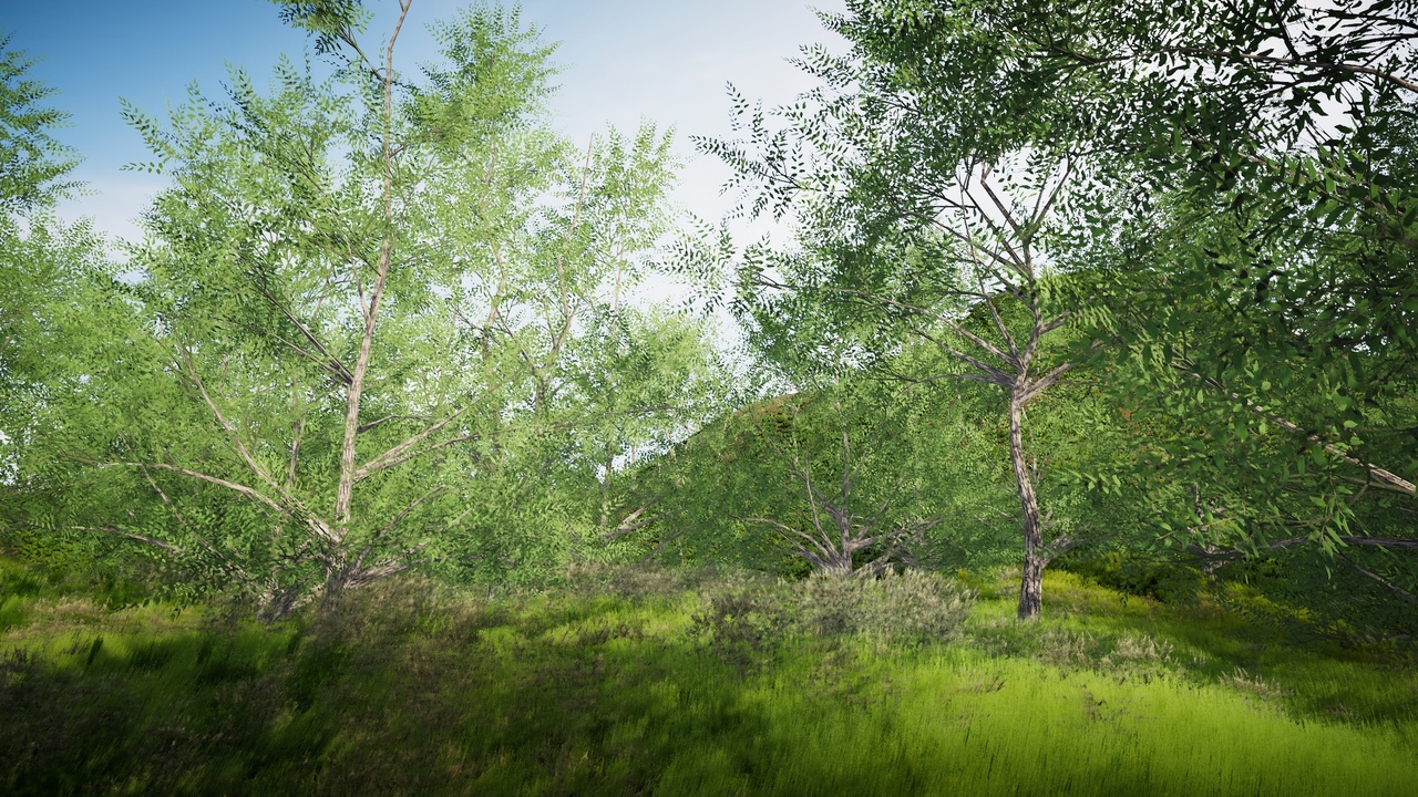 Media 1 for listing Desktop Trees Pack 44 (PC/Console)
