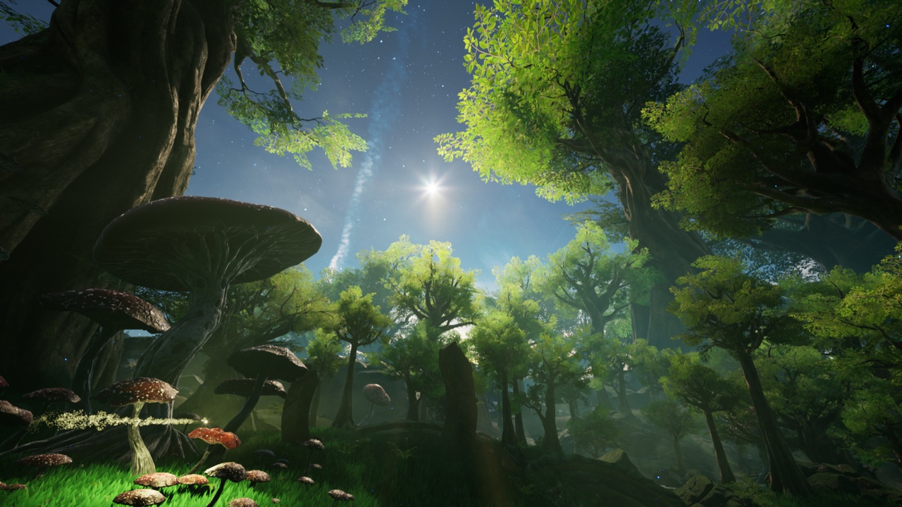 商品 Fantasy Forest 的媒体 1