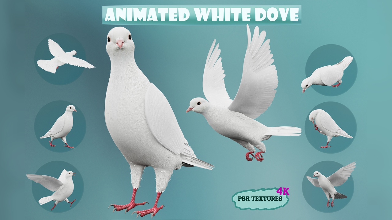Media 1 for listing Realistic Animated White Dove