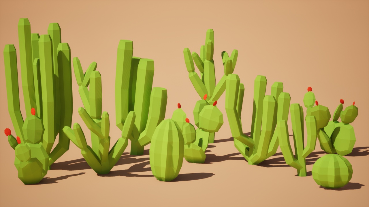 Media 1 for listing Low Poly: Cacti