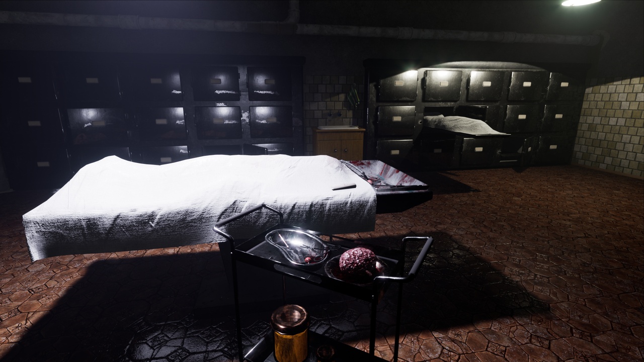 Media 1 for listing Autopsy room
