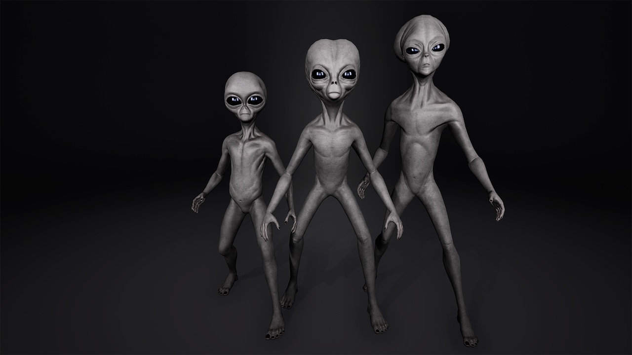 Media 1 for listing Grey Alien Character Pack
