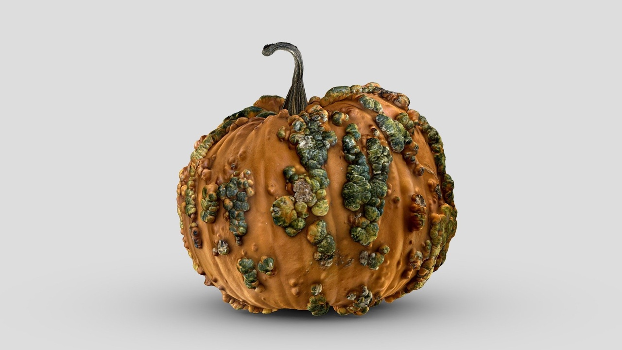 Media 1 for listing Bumpy Pumpkin