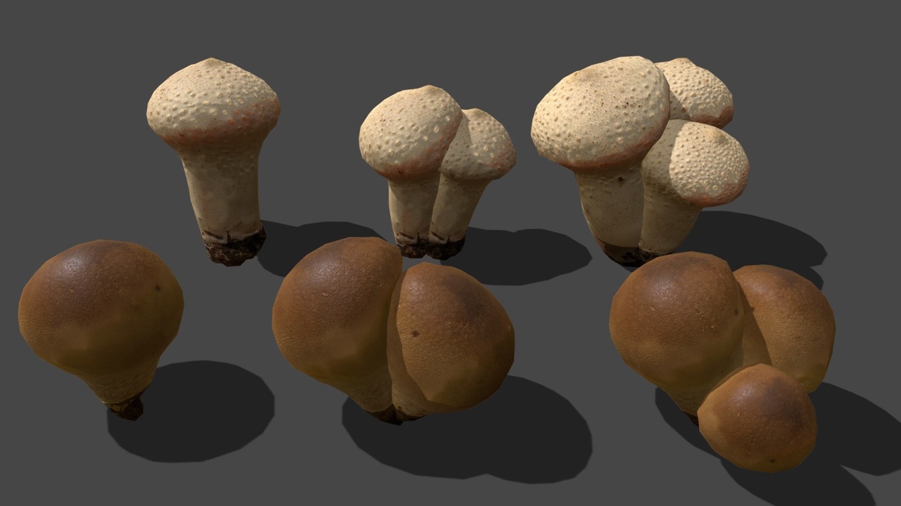Media 1 for listing Mushroom_8&10