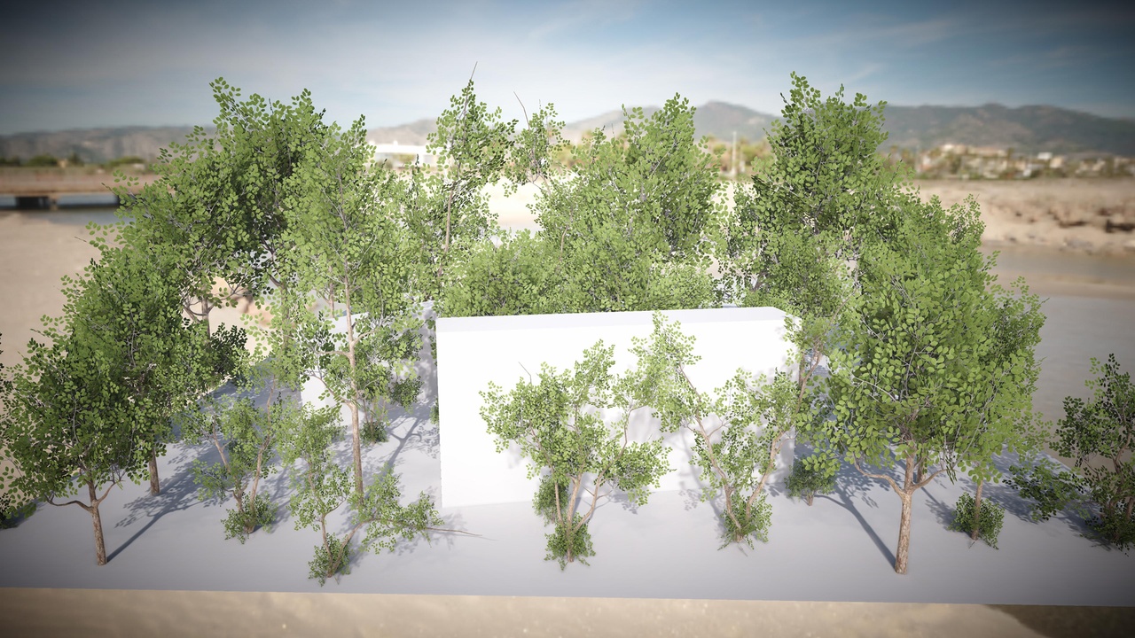 Media 1 for listing Tree Pack 12 (Mobile/PC)