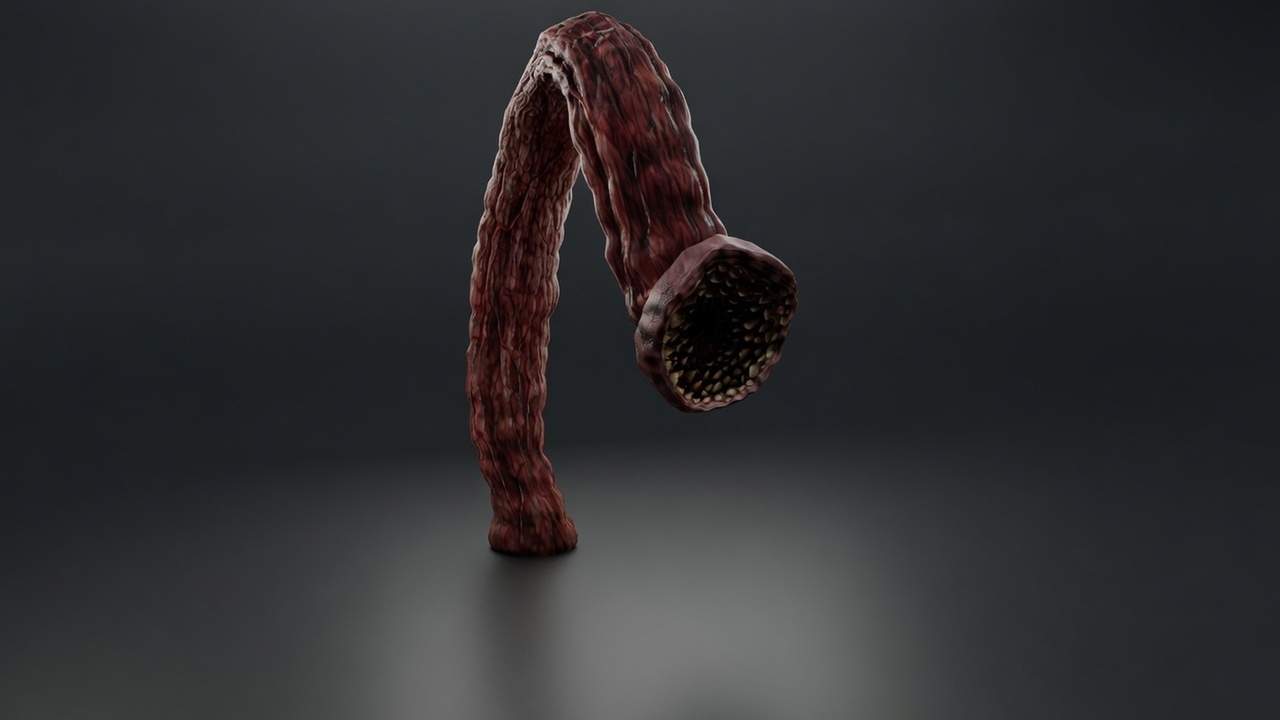 Media 1 for listing PBR Leech