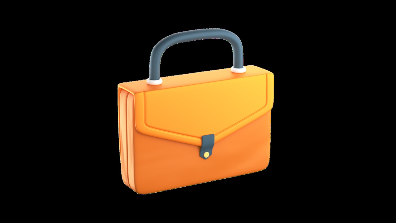 Developer Bagge bag | Fab