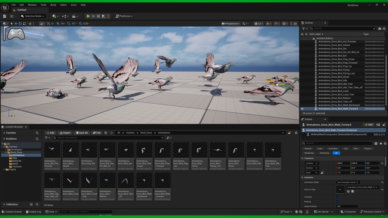 Media 1 for listing Rock Dove Common Pigeon Bird
