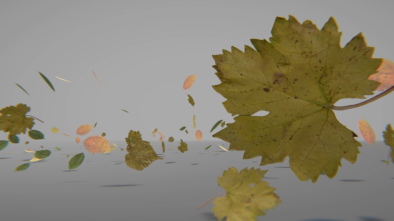 Média 1 pour l'article Blowing Leaves VFX