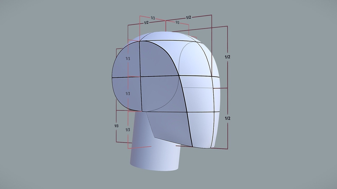 Media 1 for listing Basic Shape of the Head