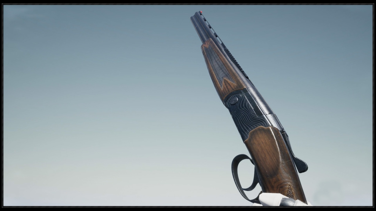 Media 1 for listing CGr DBShotgun