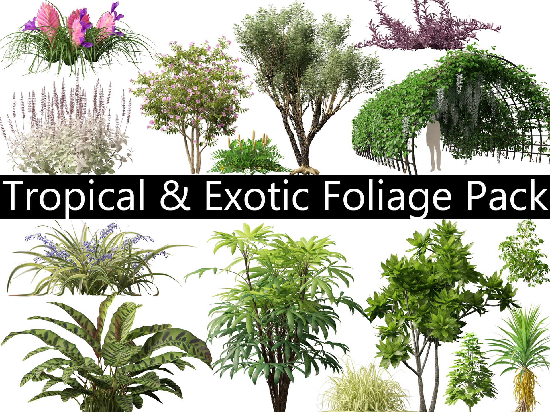 Tropical & Exotic Foliage Pack 49 | Fab