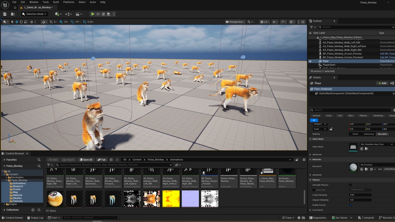 Media 1 for listing Patas Monkey