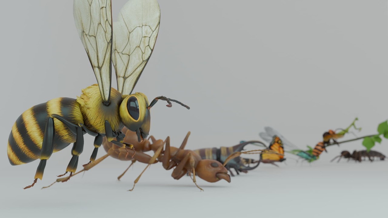 Media 1 for listing Optimized Insect pack