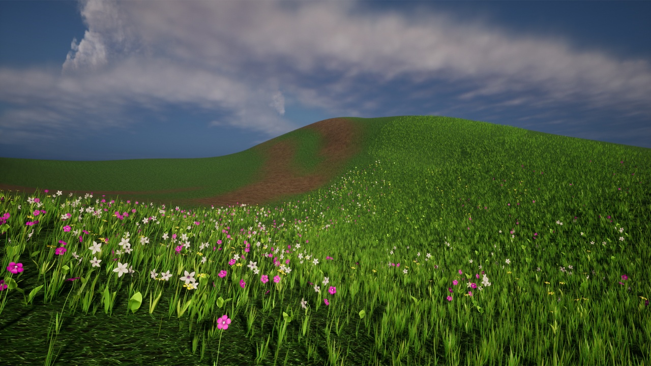 Media 1 for listing Grass and Flowers