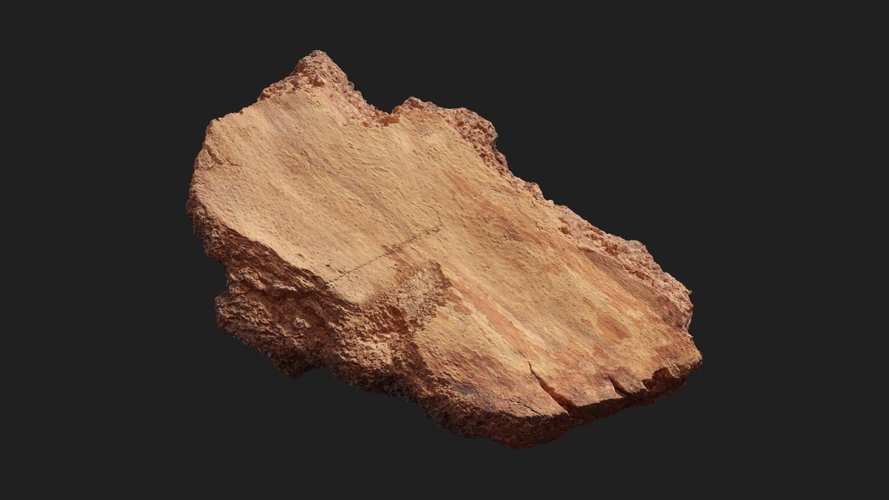 Media 1 for listing Birch Bark Piece
