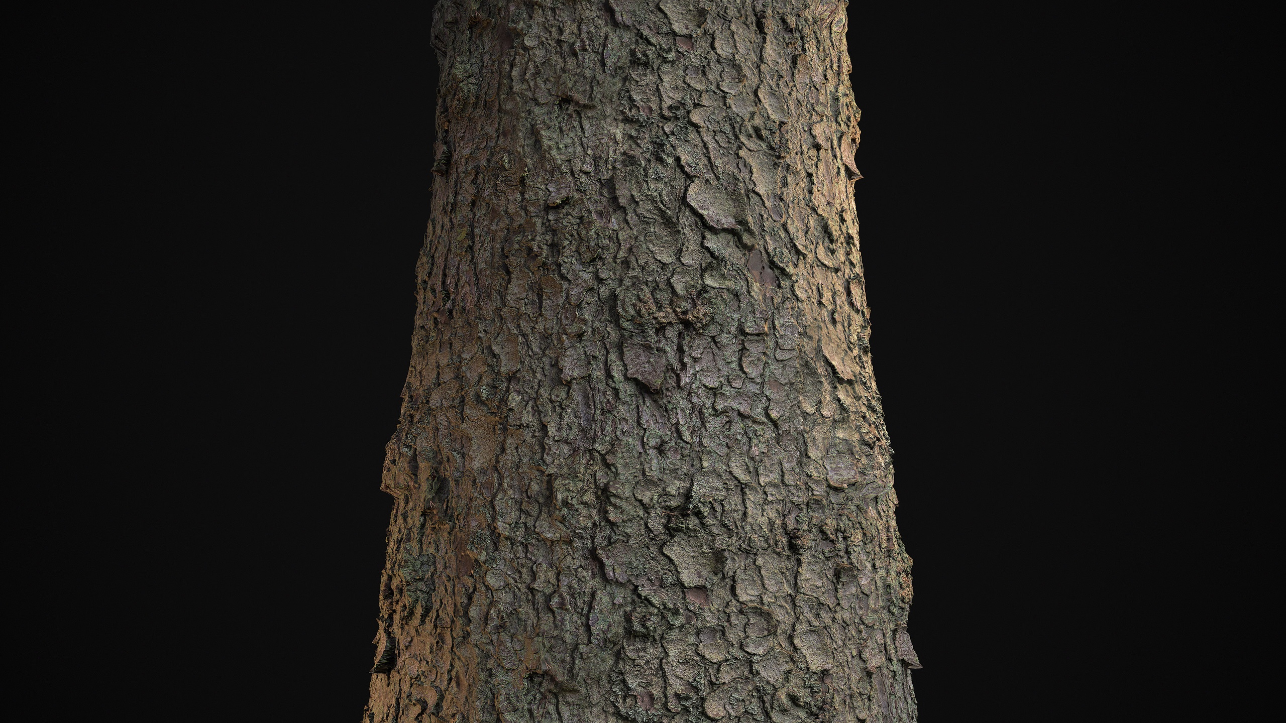 Media 1 for listing Pine Bark - Photogrammetry