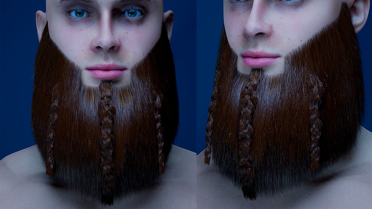 Media 1 for listing The Ultimate Viking Full Beard Pack