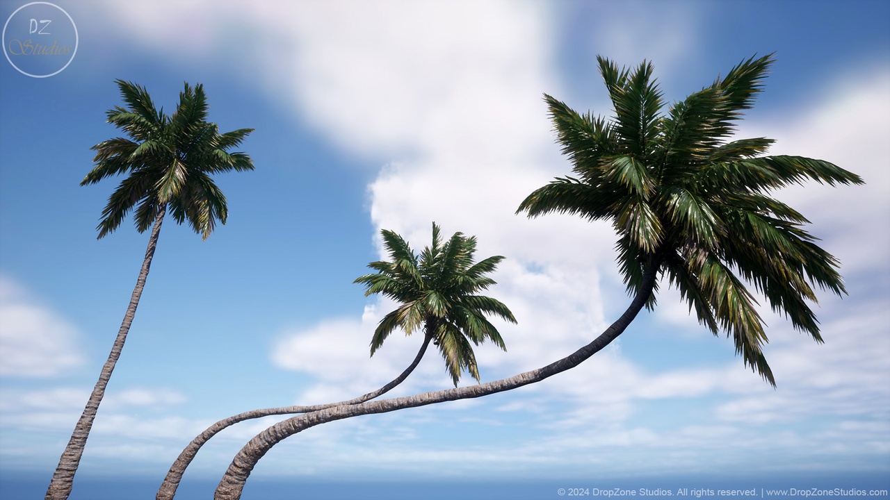 Media 1 for listing DZ Trees - Coconut Tree