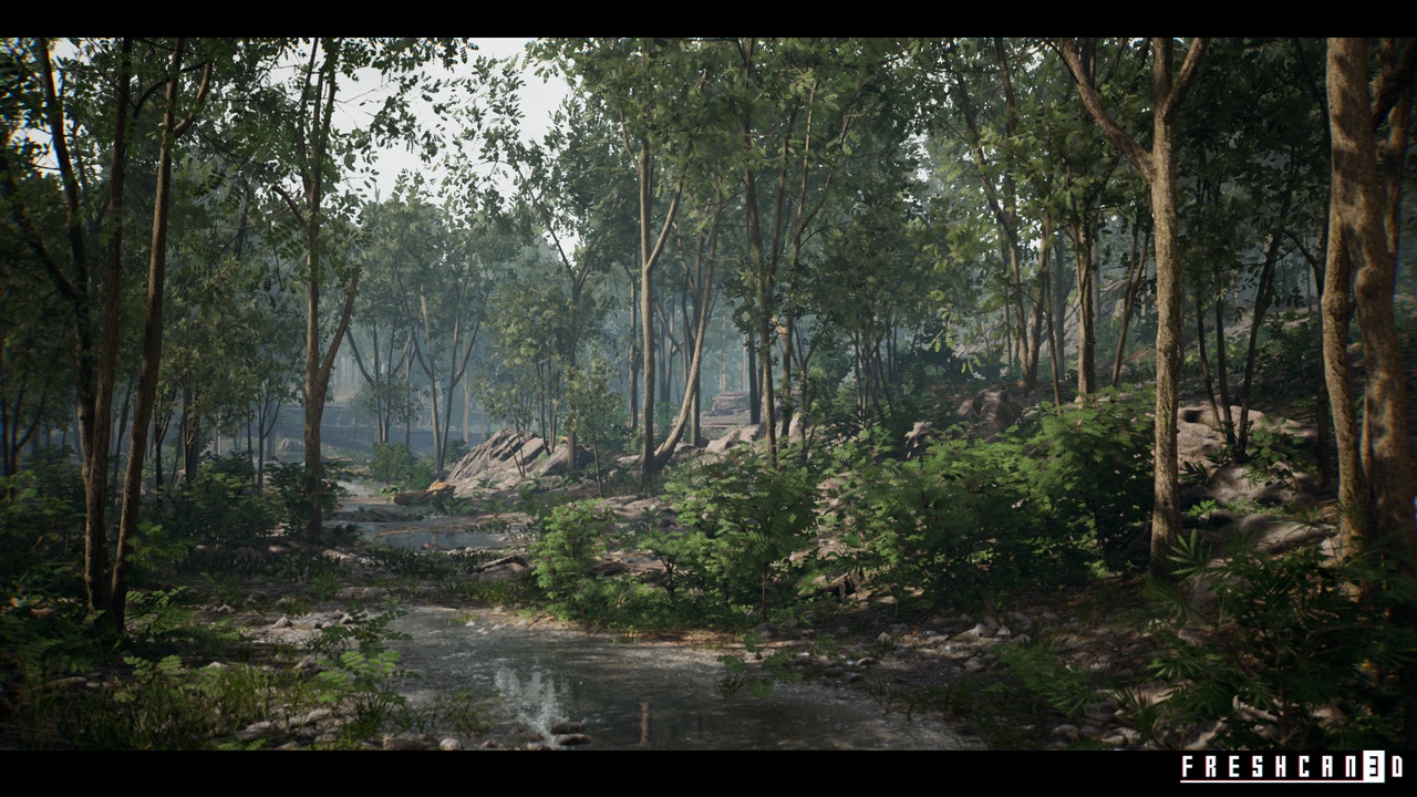 商品 Forest Environment ( Riverside Forest with Pine and Tropical Trees ) 的媒体 1