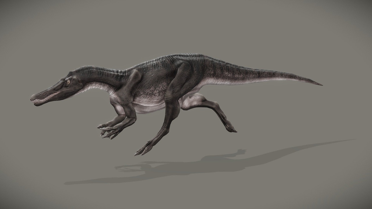 Media 1 for listing Baryonyx Walkeri