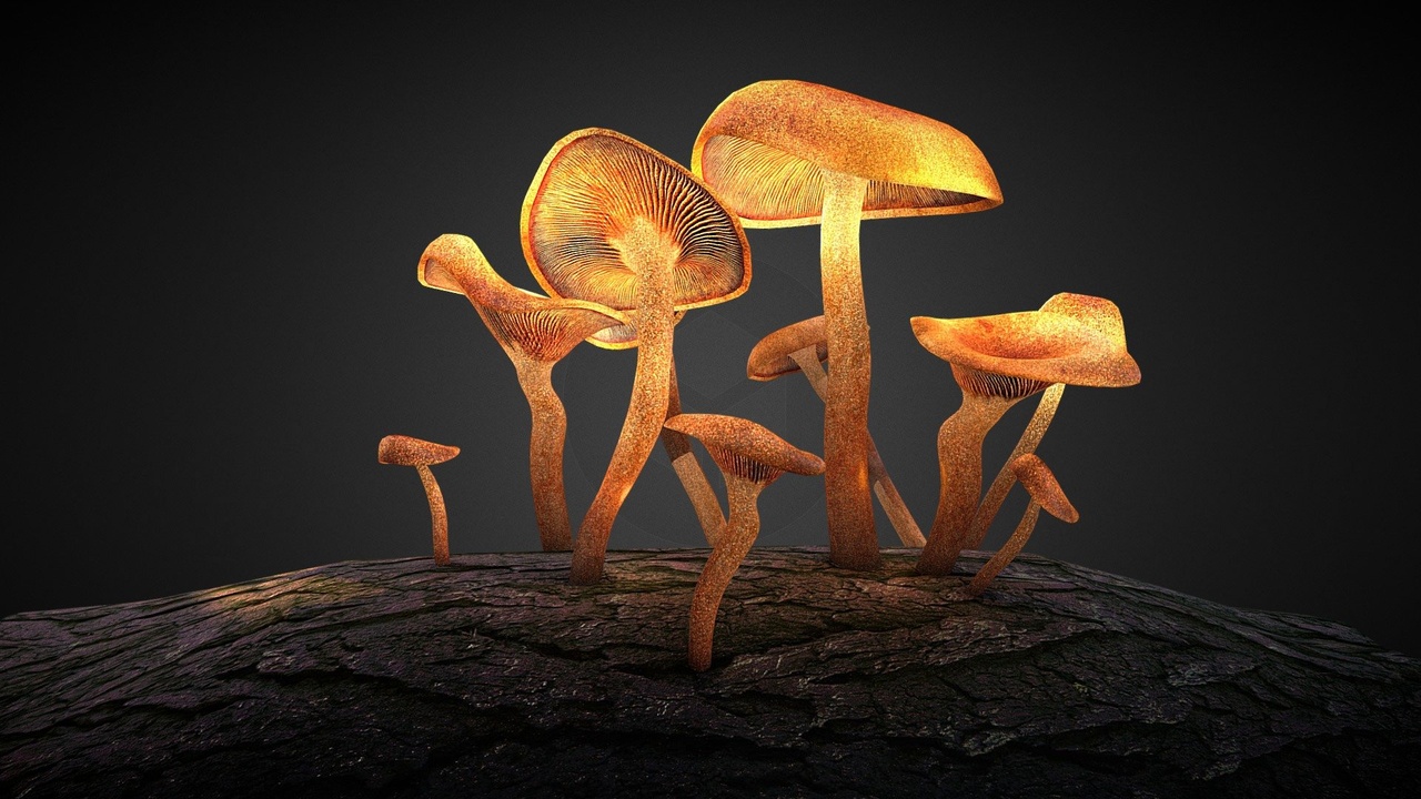 File multimediali per l'articolo Mushroom on Tree_Baked Lighting Map: 1