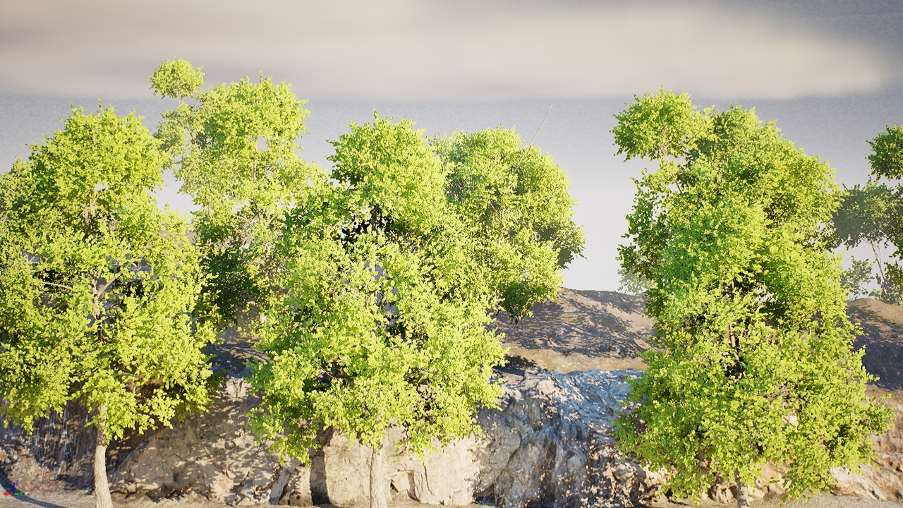 Media 1 for listing HighPoly Tree Bundle