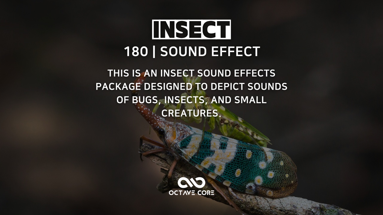 Insect1 SoundEffect 제품 등록을 위한 미디어 1개