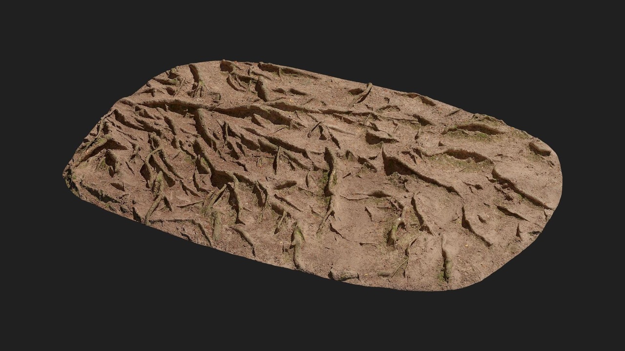 Media 1 for listing Forest European Broadleaf Ground Root M