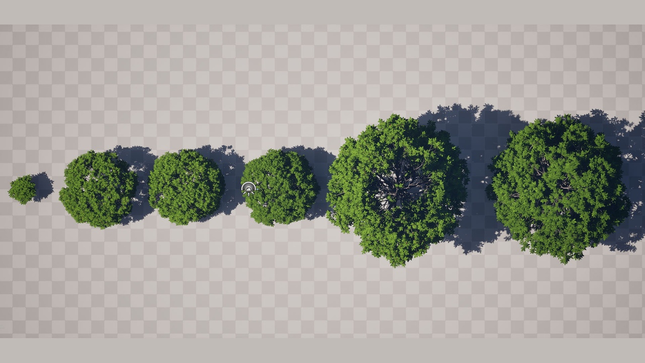 الوسائط 1 للقائمة Aesculus Tree Pack