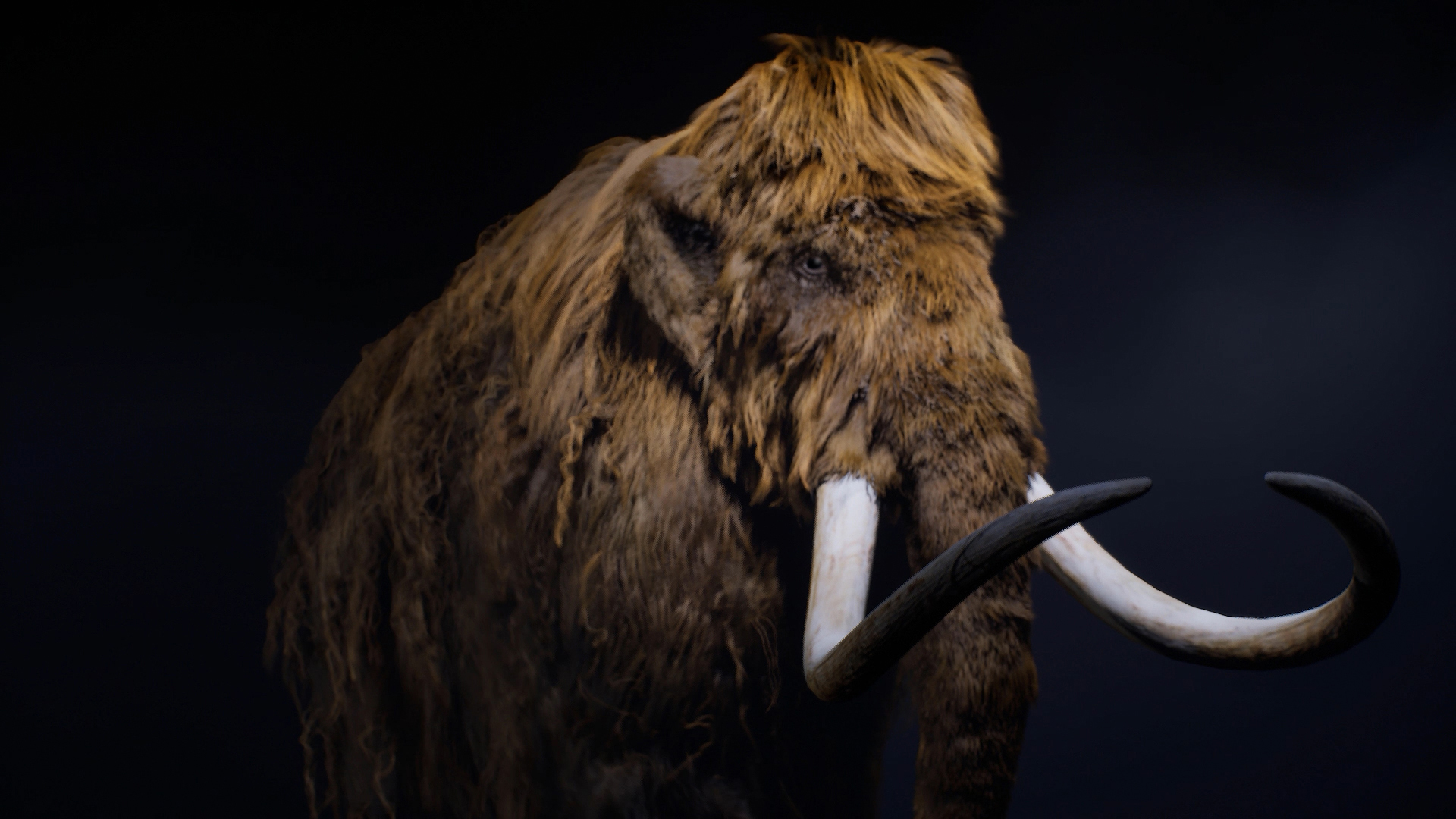 The Mammoth 2.0 | Fab