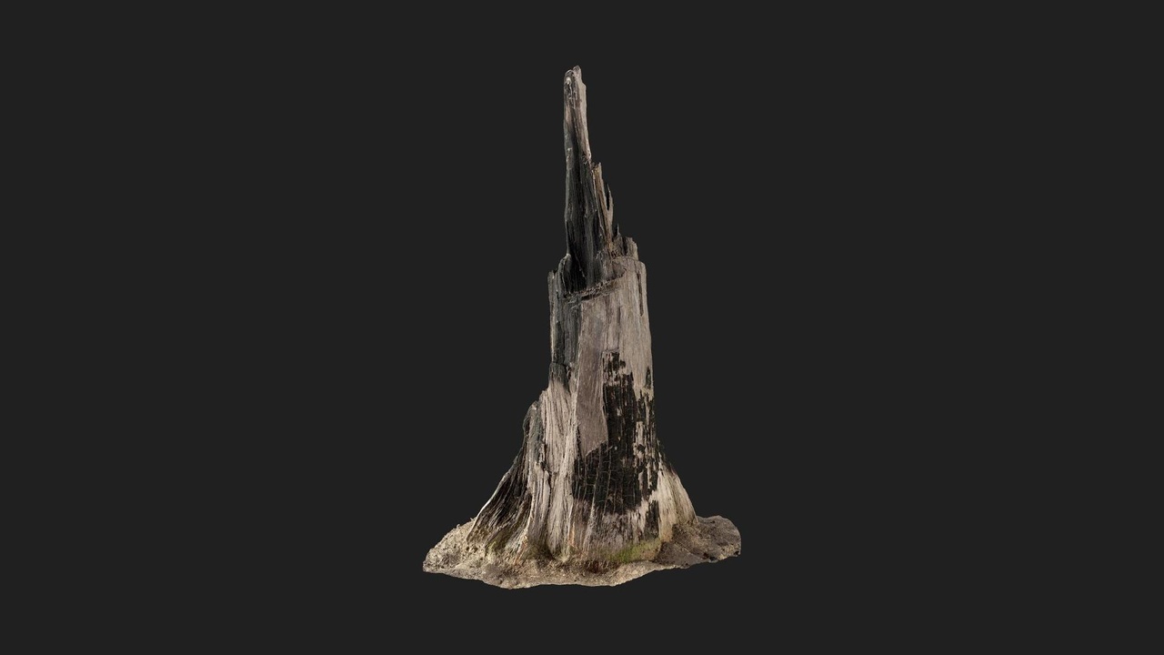 商品 Burnt Tree Trunk 的媒体 1