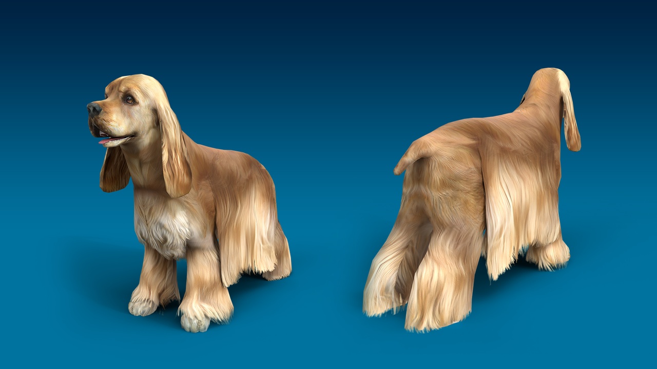 Media 1 for listing American Cocker Spaniel 3D Dog Model