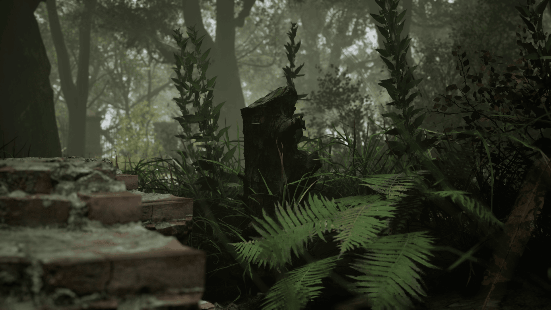 Tree Stump | Fab