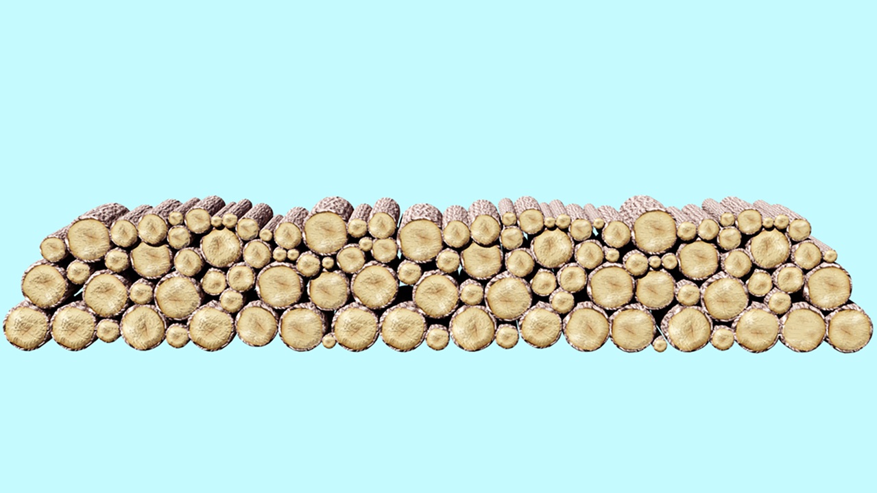 Media 1 for listing Piled Wooden Logs Free 3D model