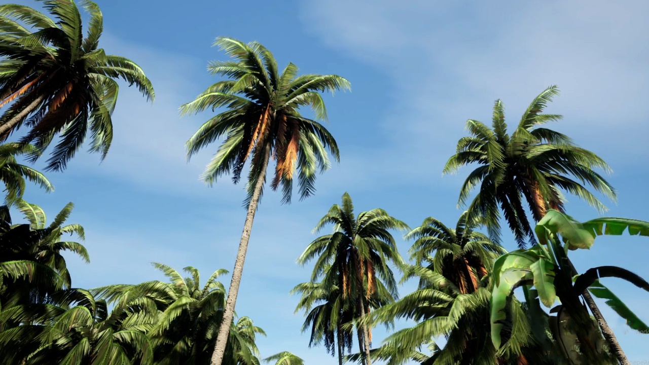 Media 1 for listing Jungle Island Tropical Vegetation and Palms
