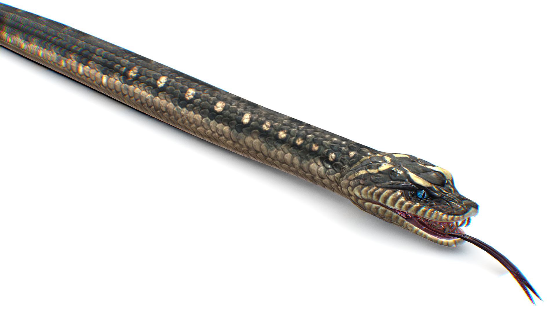 Snack Python - Serpent Monster - Anaconda | Fab