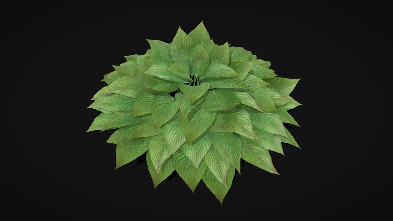 Media 1 for listing Devongreen stylized plant