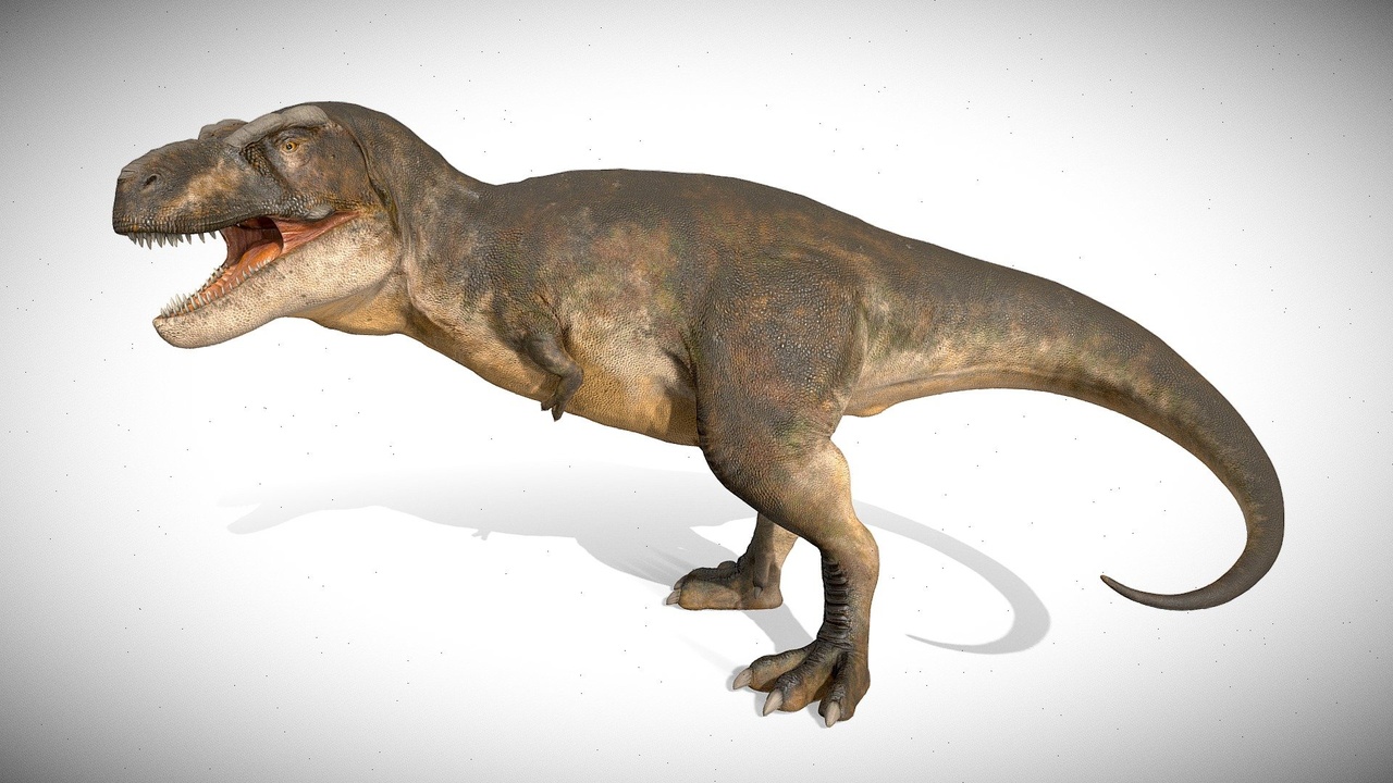 Media 1 for listing Accurate Tyrannosaurus rex Rig
