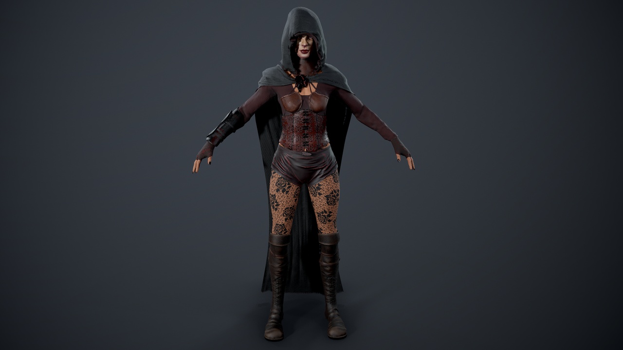 Media 1 for listing Assasin